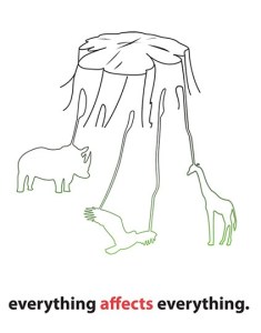 everything-affects-everything