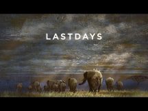last days of ivory