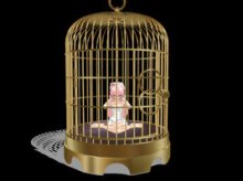 gilded_cage_by_kirschsalvator-d45ti8m
