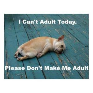 i can't adult today