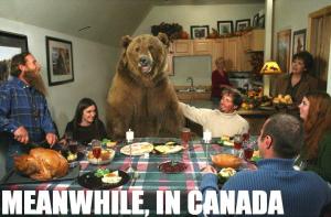 canadian-thanksgiving-meme-2
