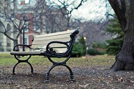 winter bench no snow