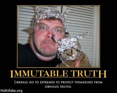 immutable truth tinfoil hat
