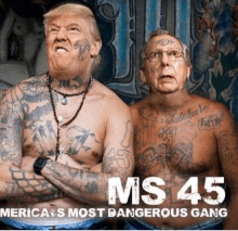 ms45 trump and mcconnell in prison