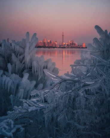 toronto winter view from Island