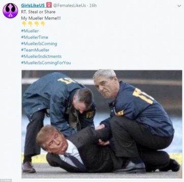 mueller takes down trump