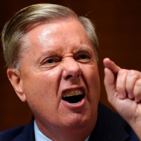 lindsey graham